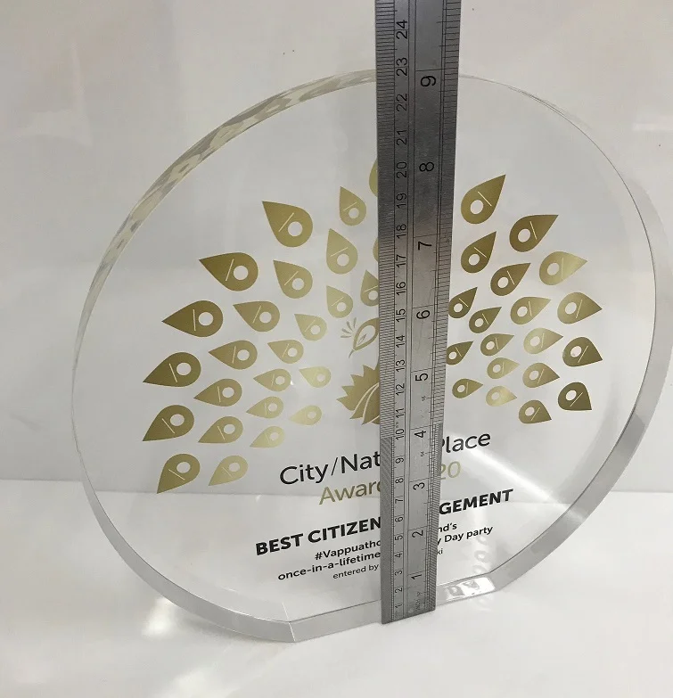 Acrylic Circle Award