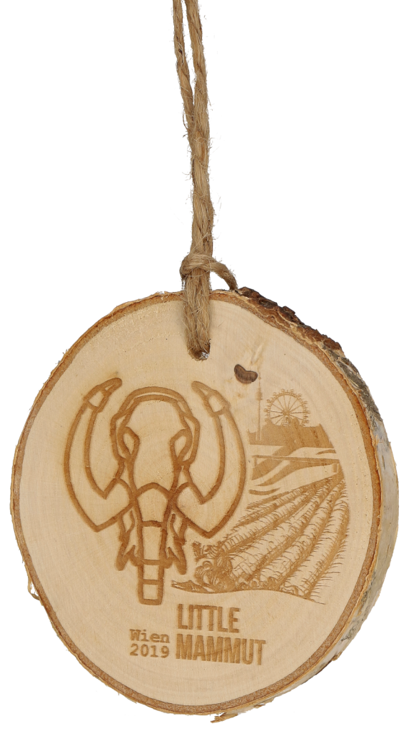 Birch Medal with Jute String - 70mm Laser Engraved