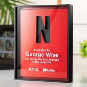 Netflix Frame