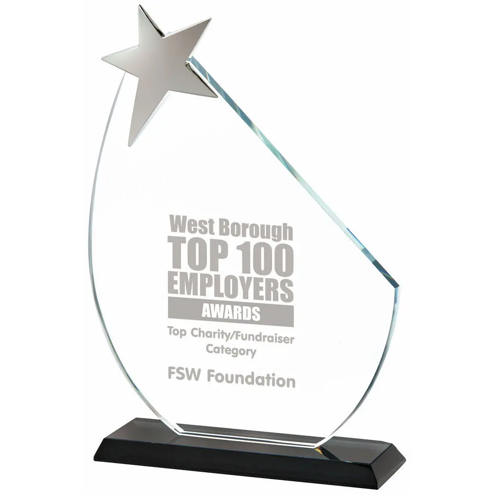 Silver Star Award on Black base